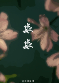 淼淼的小说
